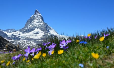 Discover Austria And Switzerland